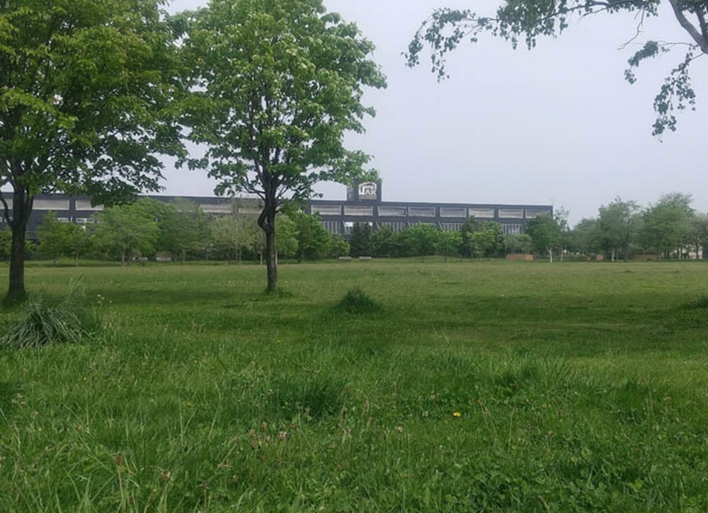 スクールの参加イメージ